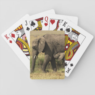Jeu De Cartes Éléphants africains