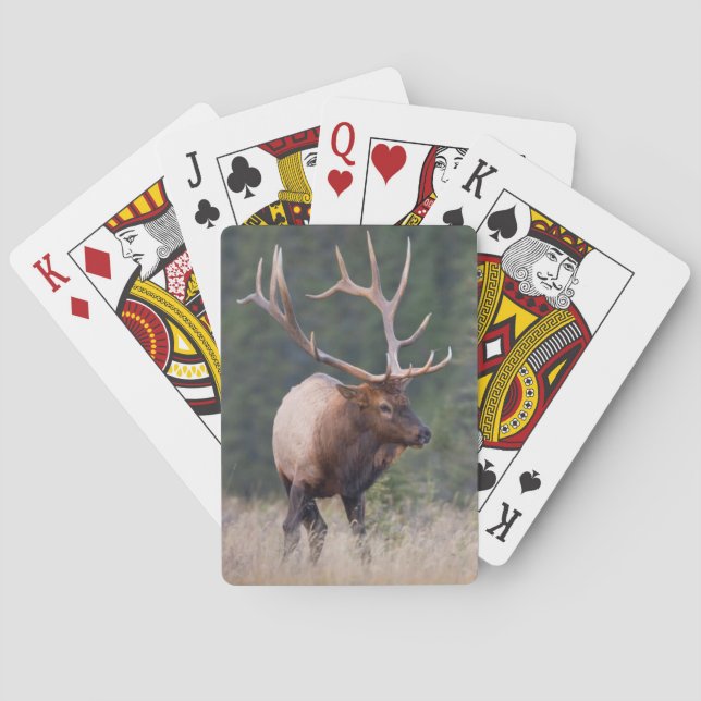 Jeu De Cartes Elk de montagne Rocky (dos)
