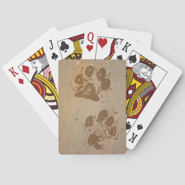 Jeu De Cartes Empreintes de pattes mouillées (dos)