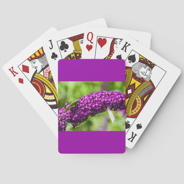 Jeu De Cartes énergie de la sauterelle (dos)