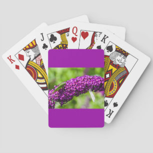 Jeu De Cartes énergie katydone