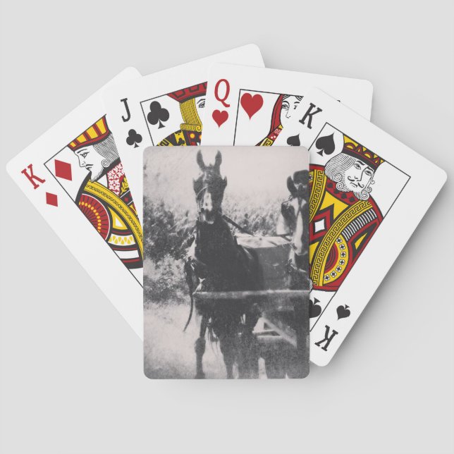 Jeu De Cartes Équipe Cheval #cheval #amish (dos)