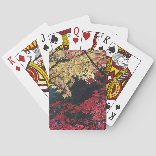 Jeu De Cartes Érables en couleur d'automne (dos)