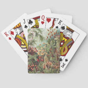 Jeu De Cartes Ernst Haeckel Impression de la nature de la mousse