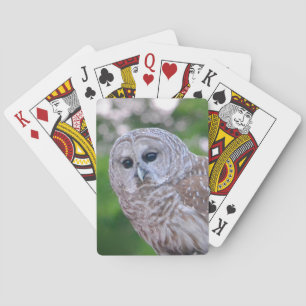 Jeu De Cartes Esprit Du Chou