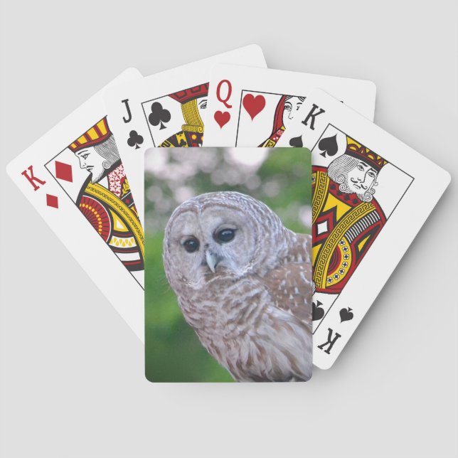 Jeu De Cartes Esprit Du Chou (dos)