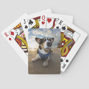Jeu De Cartes Est-ce que quelqu'un a dit le biscuit ?