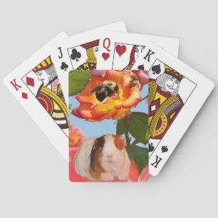 Jeu De Cartes Est-il allé encore ? Le cobaye se cachant de