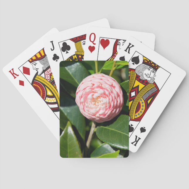 Jeu De Cartes États-Unis, Alabama, Theodore Near Mobile (dos)