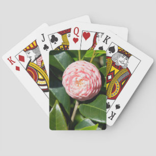 Jeu De Cartes États-Unis, Alabama, Theodore près de Mobile