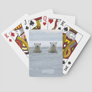 Jeu De Cartes États-Unis, Alaska, North Slope, Ours polaires