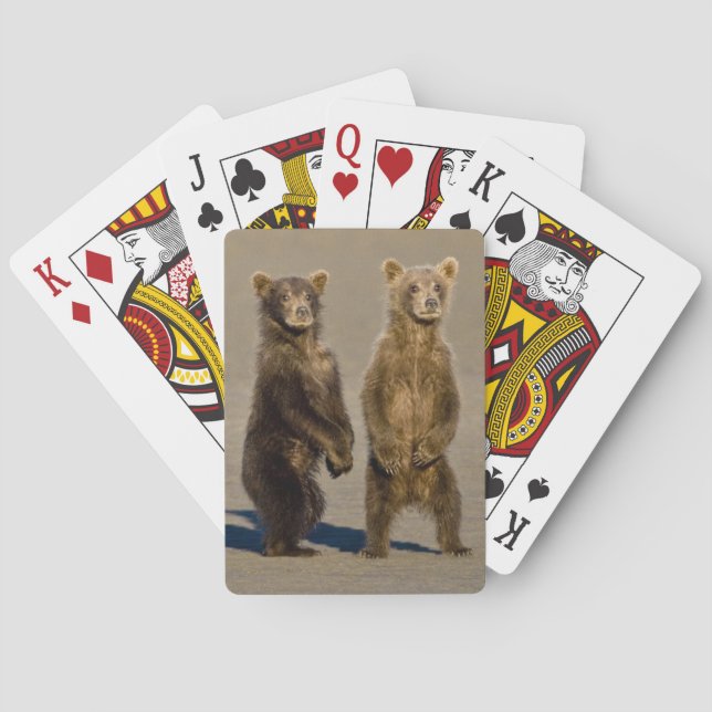 Jeu De Cartes États-Unis. Alaska. Oursons brun côtiers (dos)