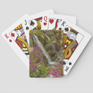 Jeu De Cartes États-Unis, Alaska, Parc national de Glacier Bay.