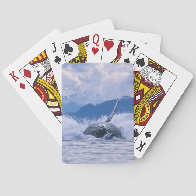 Jeu De Cartes États-Unis, Alaska, Tongass National Forest, Humpb (dos)