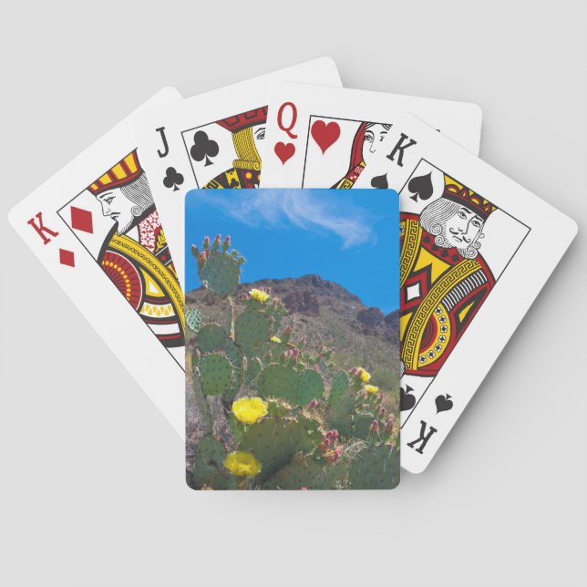 Jeu De Cartes États-Unis, Arizona. Cactus dans les collines (dos)