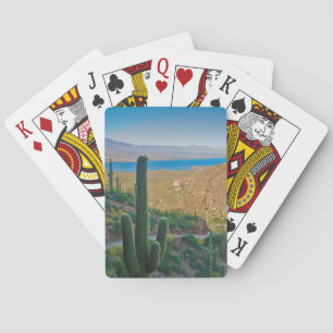 Jeu De Cartes États-Unis, Arizona. Vue depuis l'entrée de Tonto