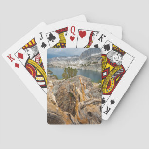 Jeu De Cartes États-Unis, Californie, forêt nationale d'Inyo.