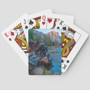 Jeu De Cartes États-Unis, Californie. Racines d'arbres dans la r