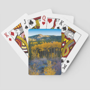 Jeu De Cartes États-Unis, Colorado. Jaunes brillants trembles da