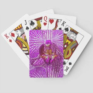 Jeu De Cartes États-Unis, Géorgie, Savannah, gros plan sur l'orc