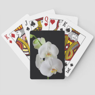 Jeu De Cartes États-Unis, Géorgie, Savannah, Groupe d'orchidées