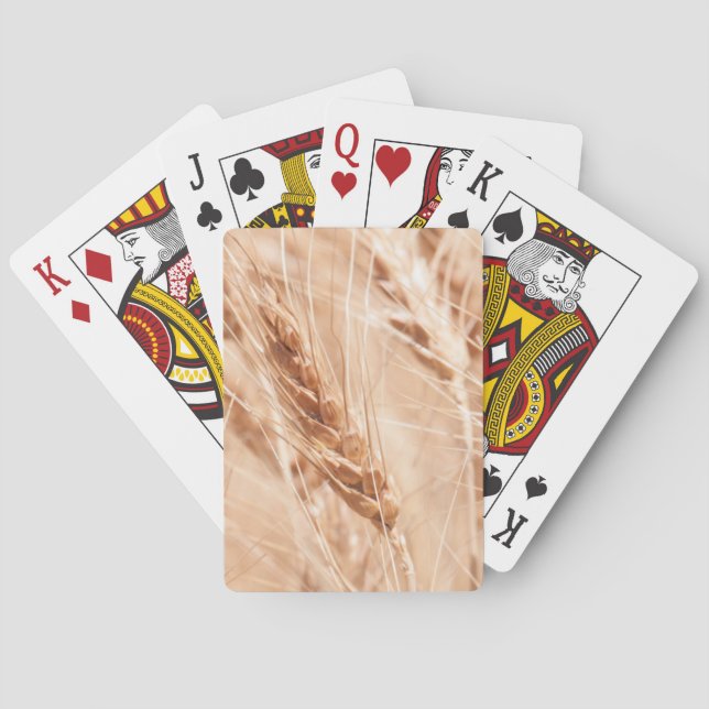 Jeu De Cartes États-Unis, Kansas, blé au moment de la récolte (dos)