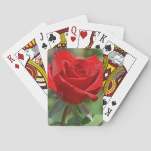Jeu De Cartes États-Unis, Kansas, Rose rouge
