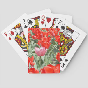 Jeu De Cartes États-Unis, Kansas, Tulipes rouges avec une tulipe