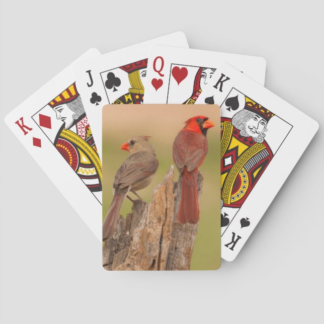 Jeu De Cartes États-Unis, Texas, comté de Hidalgo. Couple de car (dos)