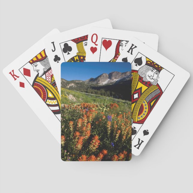 Jeu De Cartes États-Unis, Utah, forêt nationale d'Uinta-Wasatch- (dos)