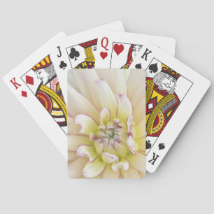 Jeu De Cartes États-Unis, Washington, Bellevue, Bellevue Botanic