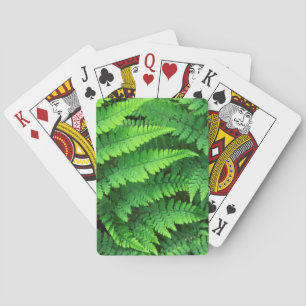 Jeu De Cartes États-Unis, Washington, Parc national Olympique, A