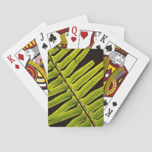 Jeu De Cartes États-Unis, Washington, Parc national Olympique, C