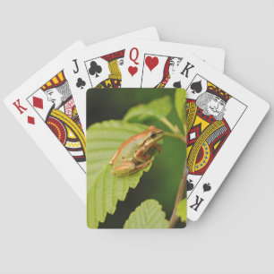 Jeu De Cartes États-Unis, Washington, Seattle, Discovery Park