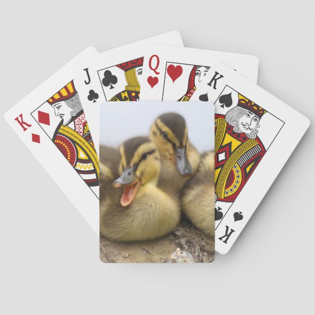 Jeu De Cartes États-Unis, Washington, Seattle, lac Washington (dos)