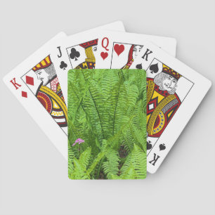 Jeu De Cartes États-Unis, Washington, Seattle, Washington Park