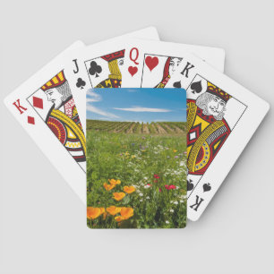 Jeu De Cartes États-Unis, Washington, Walla Walla. Fleurs sauvag