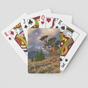Jeu De Cartes États-Unis, Wyoming, Grand Teton NP. Le lever du s