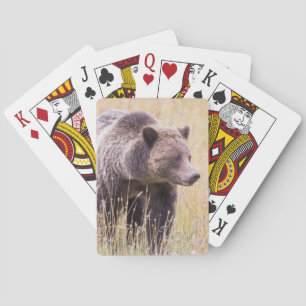 Jeu De Cartes États-Unis, Wyoming, Parc national de Yellowstone,