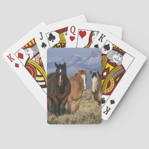 Jeu De Cartes États-Unis, Wyoming, près du groupe de chevaux de