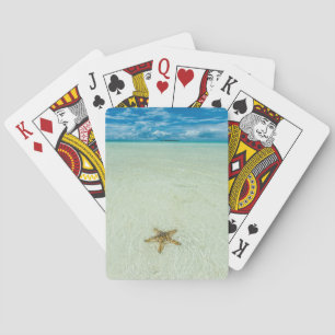 Jeu De Cartes Étoile de mer dans des eaux peu profondes, Palaos