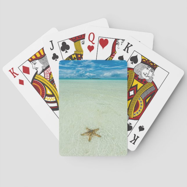 Jeu De Cartes Étoile marine dans les eaux peu profondes, Palau (dos)