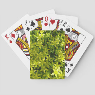 Jeu De Cartes étoile verte comme fleurs plante herbacé