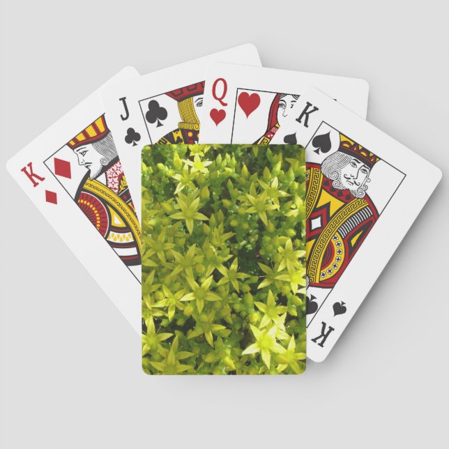 Jeu De Cartes étoile verte comme fleurs plante herbacé (dos)