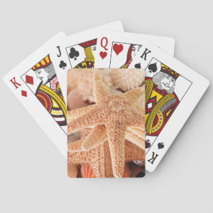 Jeu De Cartes Étoiles de mer séchées vendues comme souvenirs 2