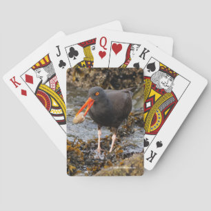 Jeu De Cartes Étonnant oiseau de rivage noir à l'huître avec écu
