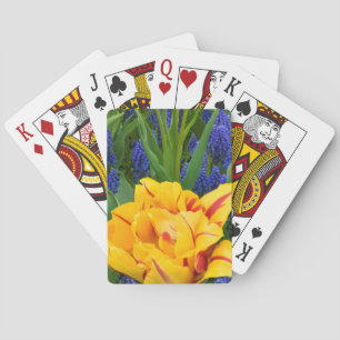 Jeu De Cartes Europe, Pays-Bas, Lisse. Tulipes