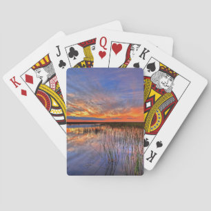 Jeu De Cartes Everglades colorés, Floride,