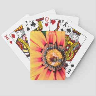 Jeu De Cartes Extrême gros plan d'une abeille collectant du poll