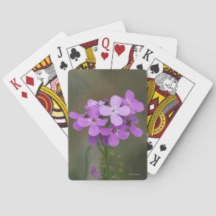 Jeu De Cartes F19 Fleurs sauvages violettes Dames Rocket